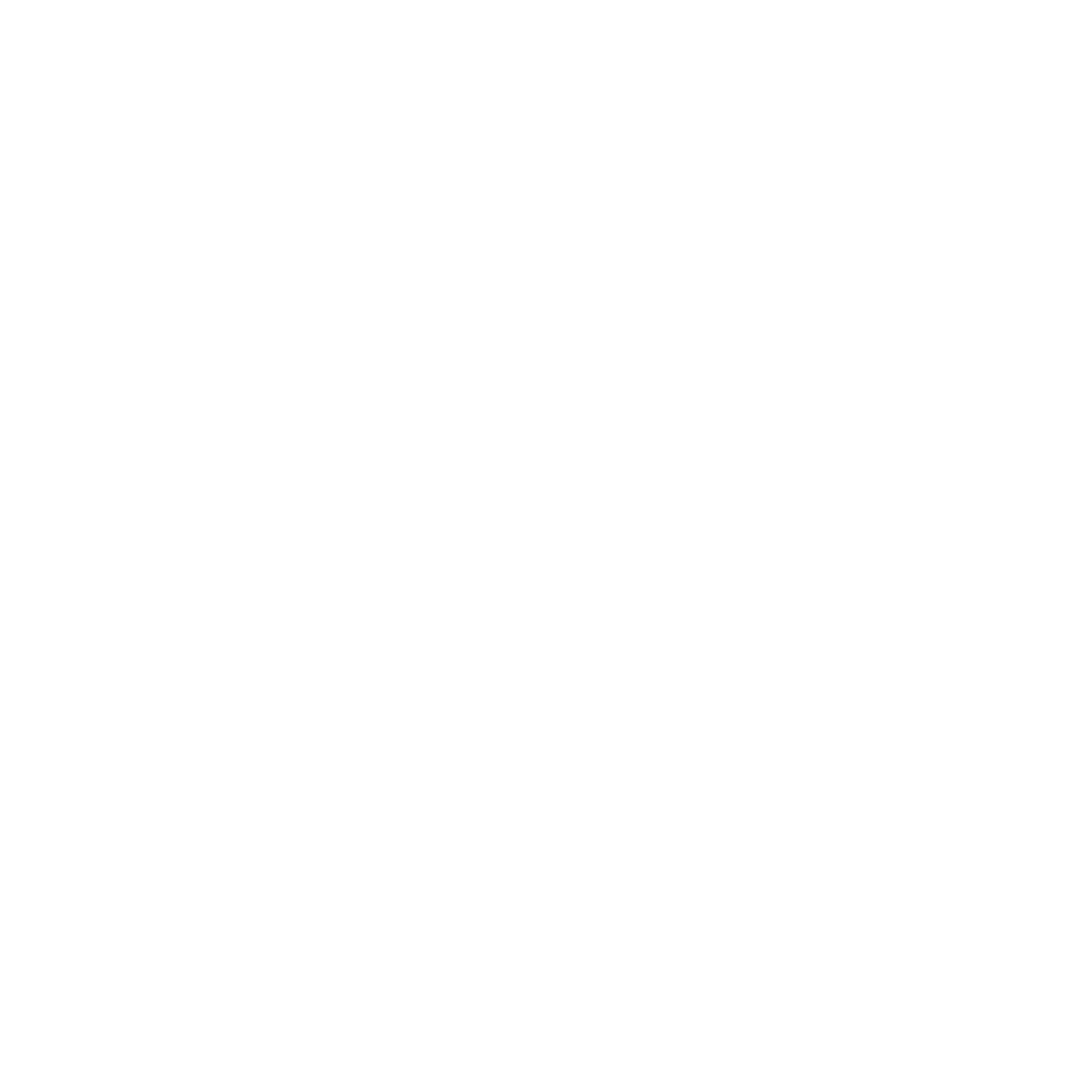 Logo de la FAY