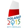 Logo de campeonato