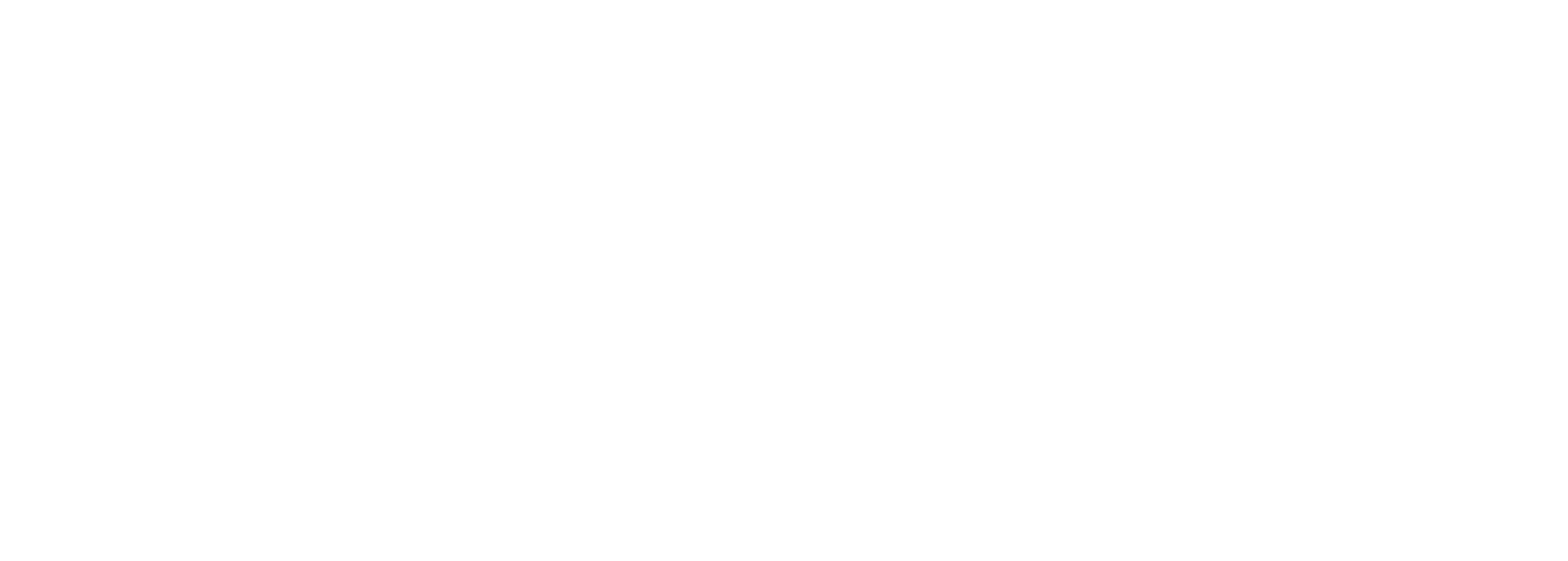 Logo RT blanco
