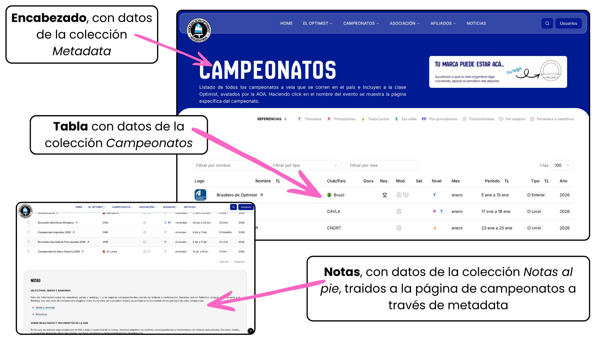 Captura de pantalla de página Campeonatos